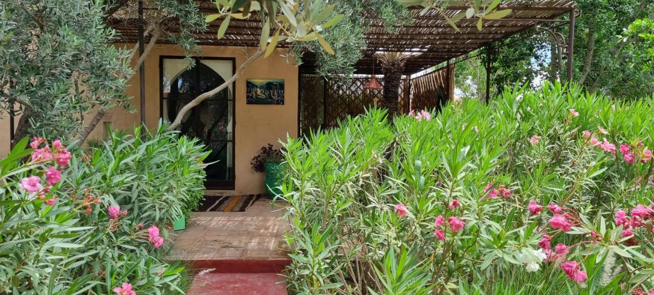 Les Trois Paons Taroudant Quarto foto