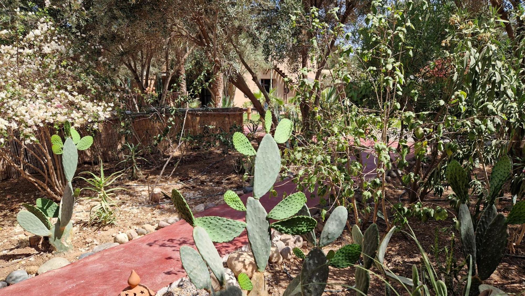 Les Trois Paons Taroudant Exterior foto