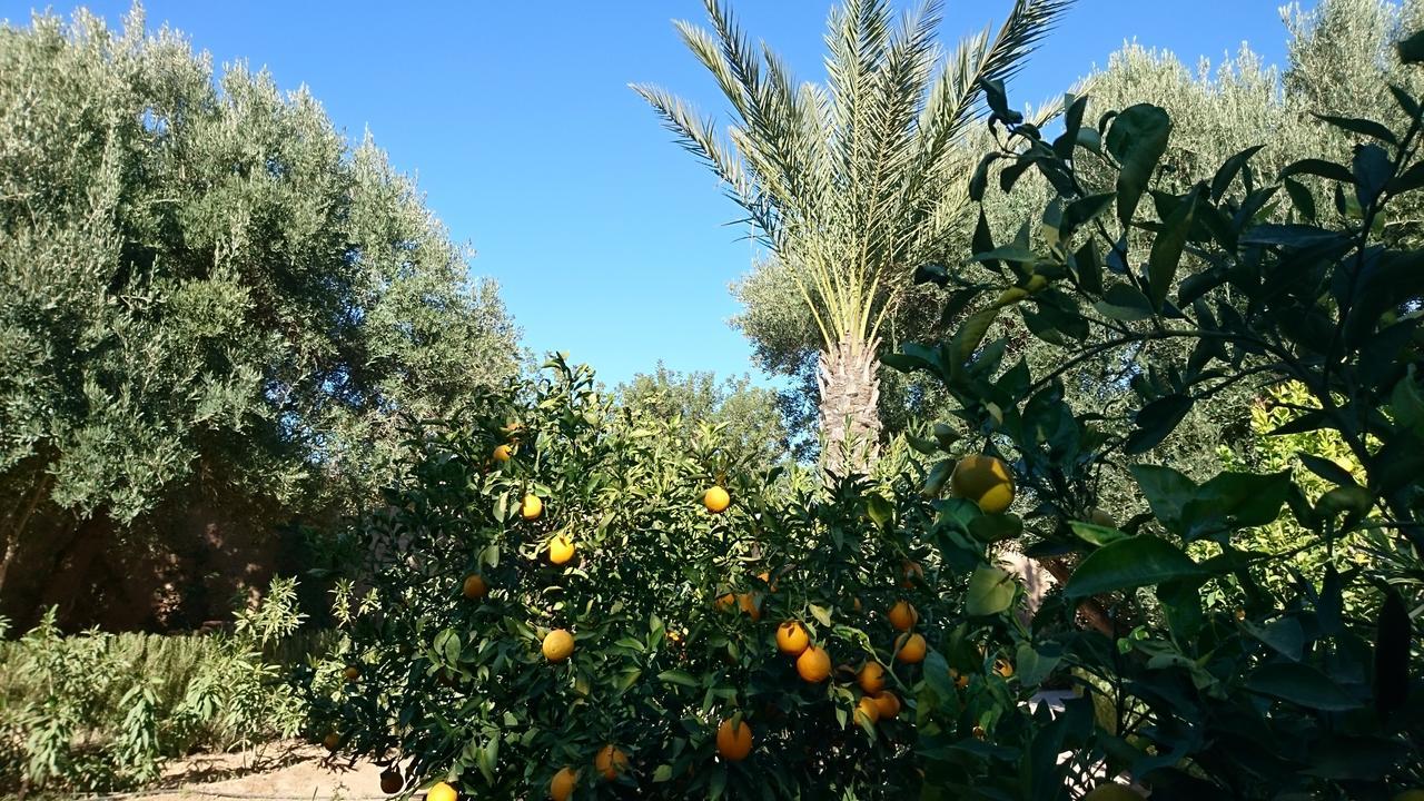 Les Trois Paons Taroudant Exterior foto