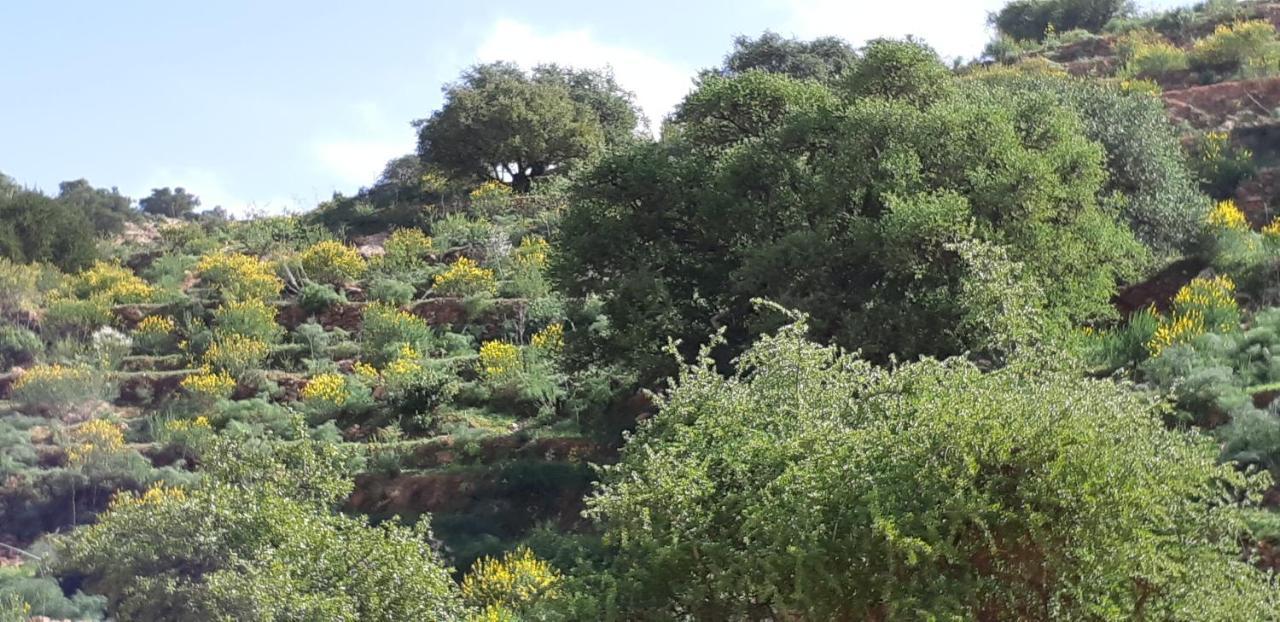Les Trois Paons Taroudant Exterior foto